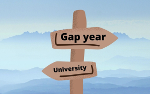 Gap year