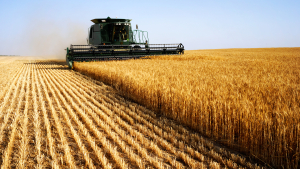 Agriculture