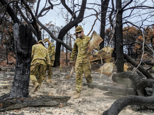 Recover bushfire
