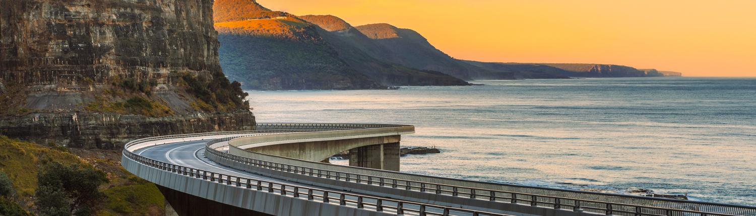 Bridging Visa Bridging Visa